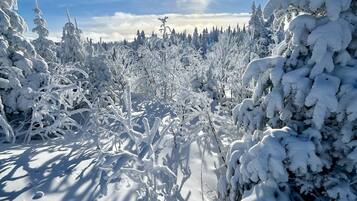 A snowy landscape with dense trees and a clear sky.
