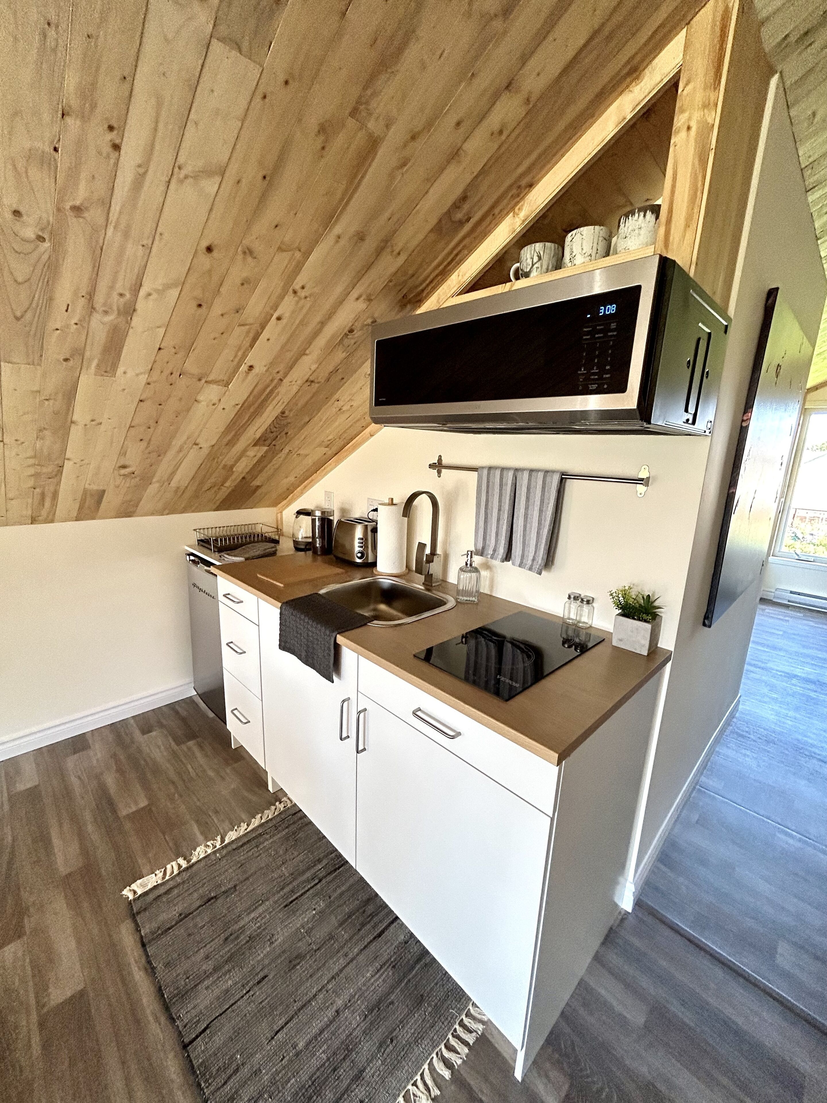 Frigorífico, microondas, horno y placa de cocina