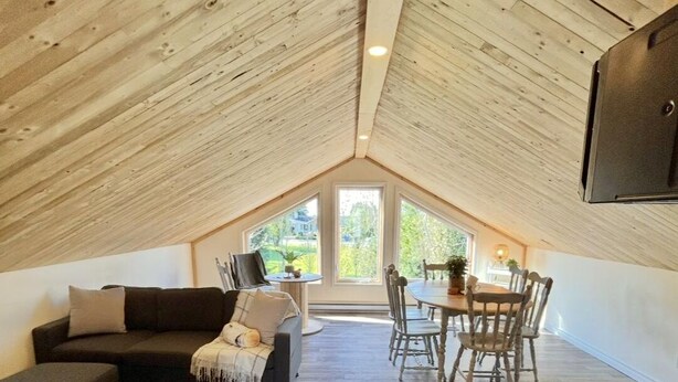 Una camera in stile loft con soffitto spiovente, pavimento in legno, un divano, un tavolo da pranzo con sedie e una televisione a parete.