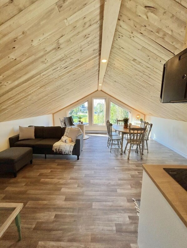 Smart-TV, peis, bøker og stereoanlegg