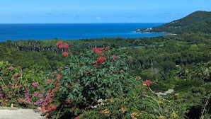A lush landscape with dense greenery and a view of the ocean. - Villa Tiaré Tahiti (Deshaies)