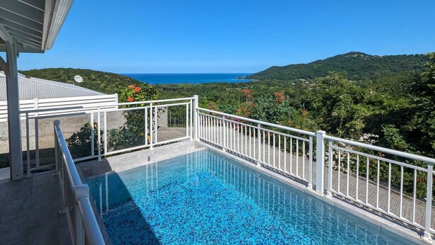 A swimming pool with a white railing, overlooking a coastal landscape with hills and a clear blue sky. - Villa Tiaré Tahiti (Deshaies)