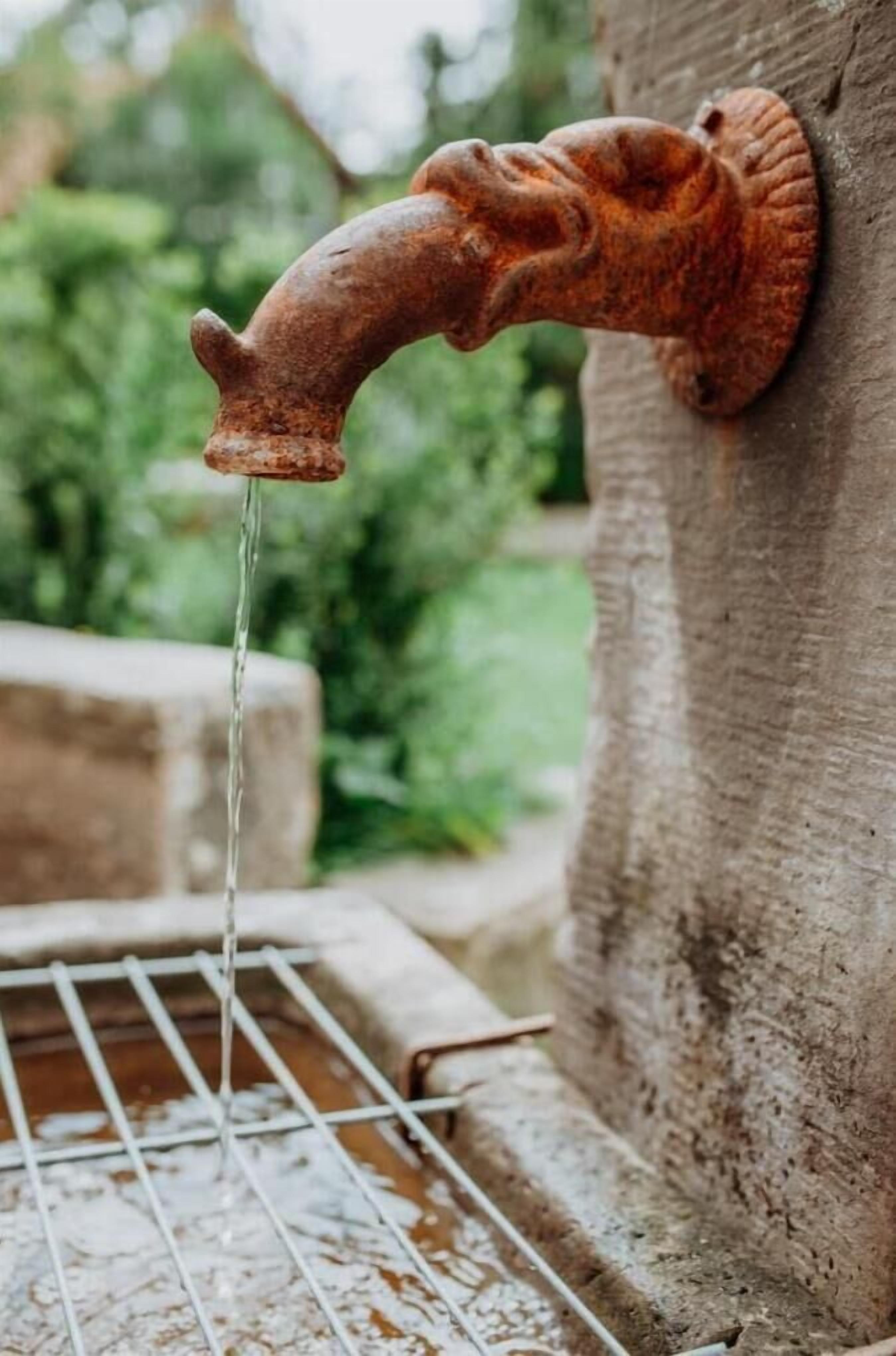 Un élément décoratif extérieur de style rustique, composé d’un bec verseur en métal et d’un bassin en béton.