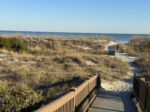 På stranden, solsenger og strandhåndklær