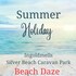 Beach Daze - Silver Beach - Standard