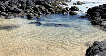 Calme et magnifique coucher de montagne avec vue sur la mer