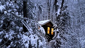 Eine Hütte eingebettet in einen verschneiten Wald, umgeben von dichten Bäumen und mit Schnee bedeckten Ästen.
