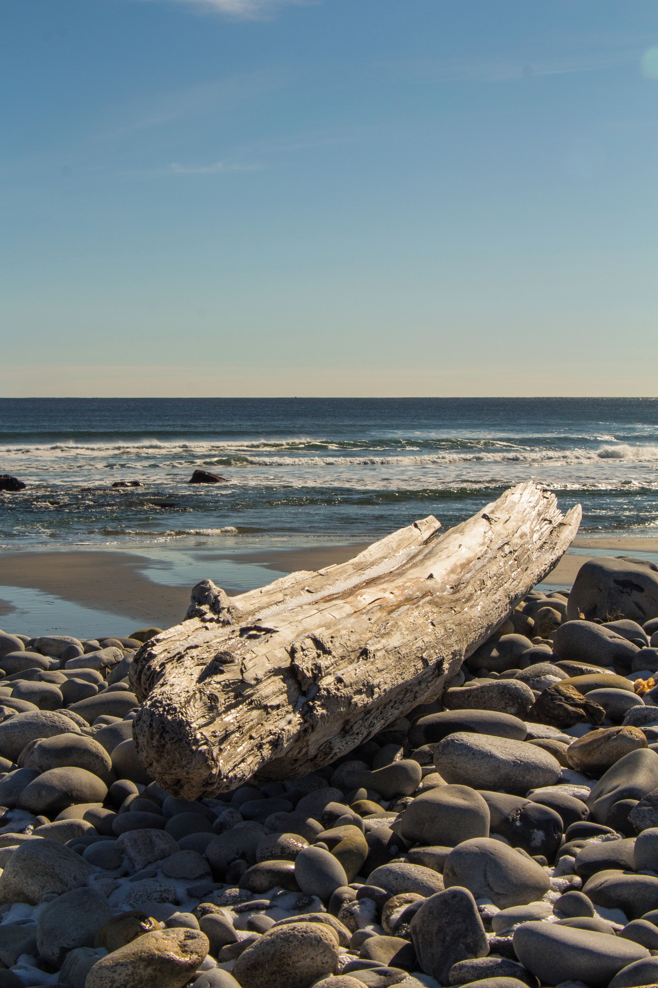 A log on a rocky beach with the ocean in the background.