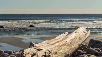 A log on a rocky beach with the ocean in the background.