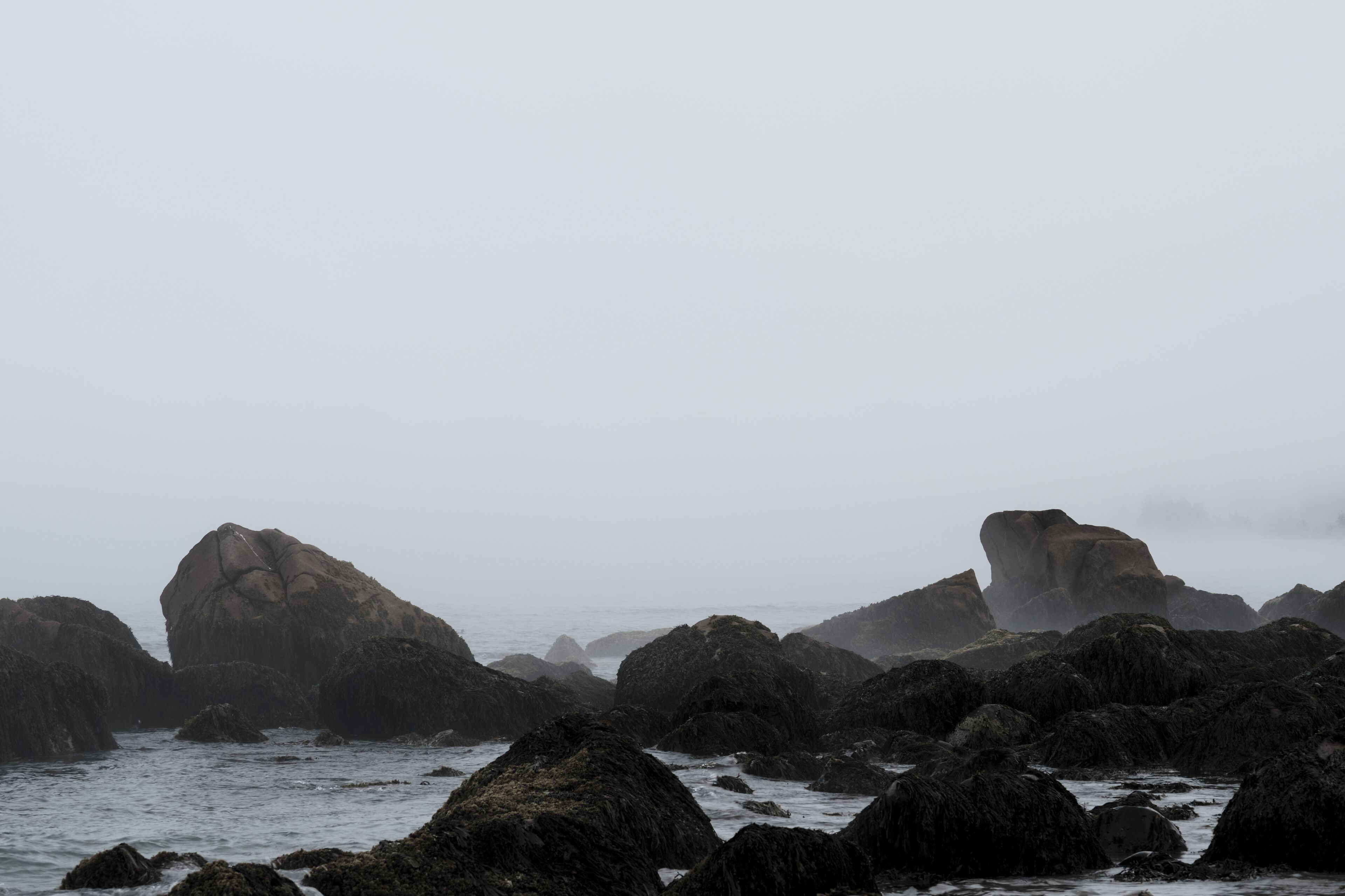 A rocky coastal landscape with large boulders and a foggy atmosphere.