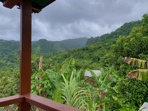 Enjoy Dominica's tranquility, and local cuisine at Le Petit Paradis!