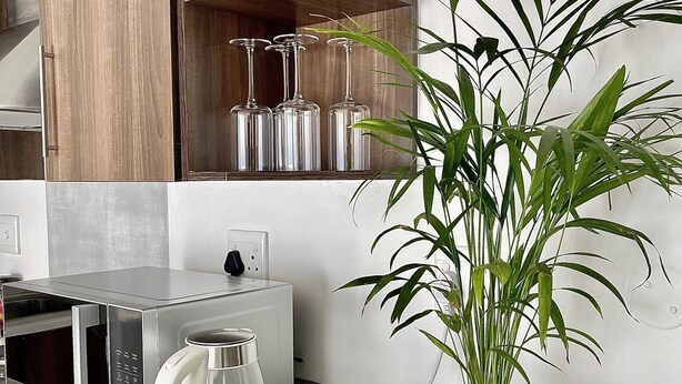 A kitchen with a microwave, a glass fishbowl, a potted plant, and a wooden cabinet with glassware.