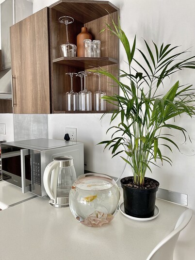 Windhoek City Centre Apartment