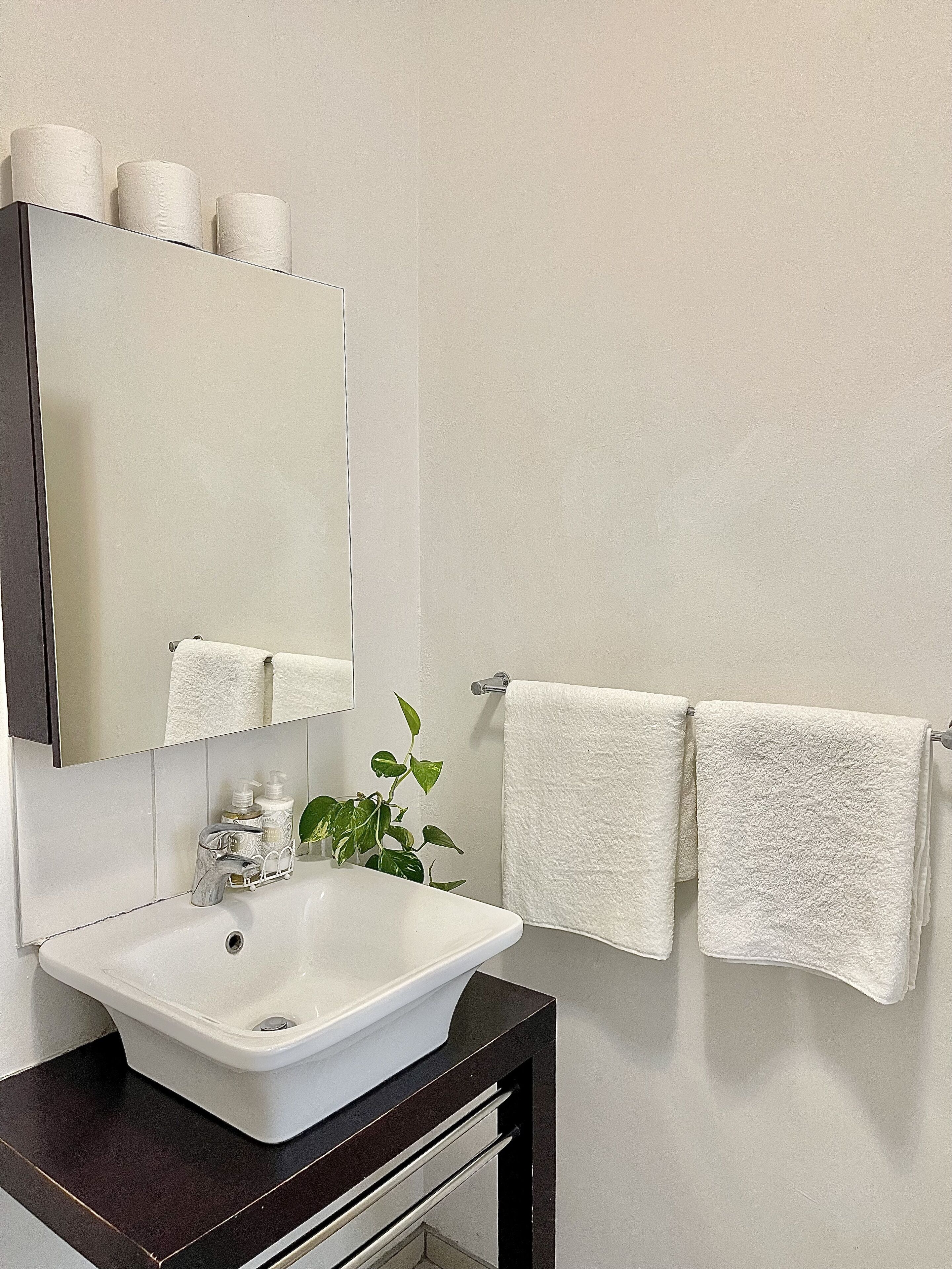 Un baño con un lavamanos blanco, un espejo, dos toallas y una planta.