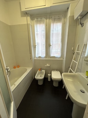 Shower, hair dryer, bidet, towels