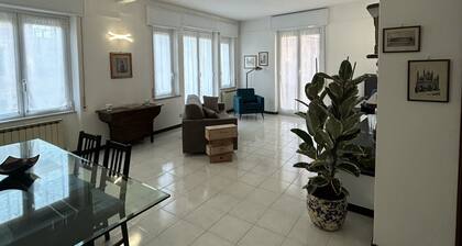 At the BĂ caro.... within walking distance of the historic center and beaches