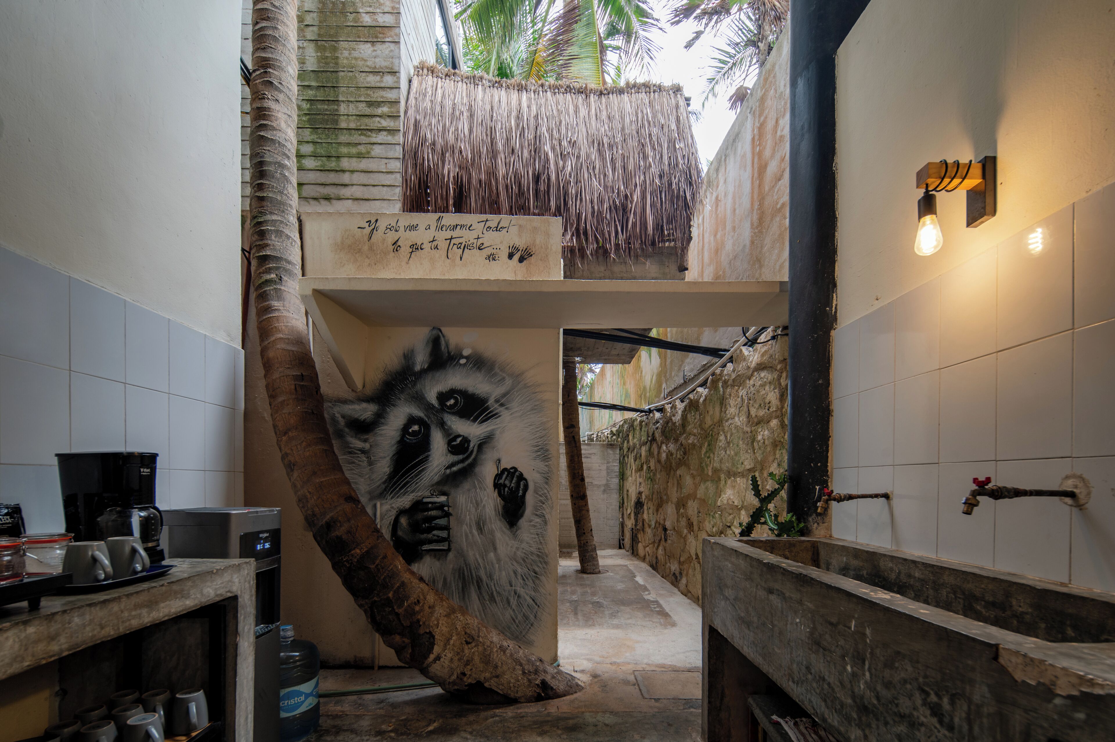 Foto - Tropicalito Tulum