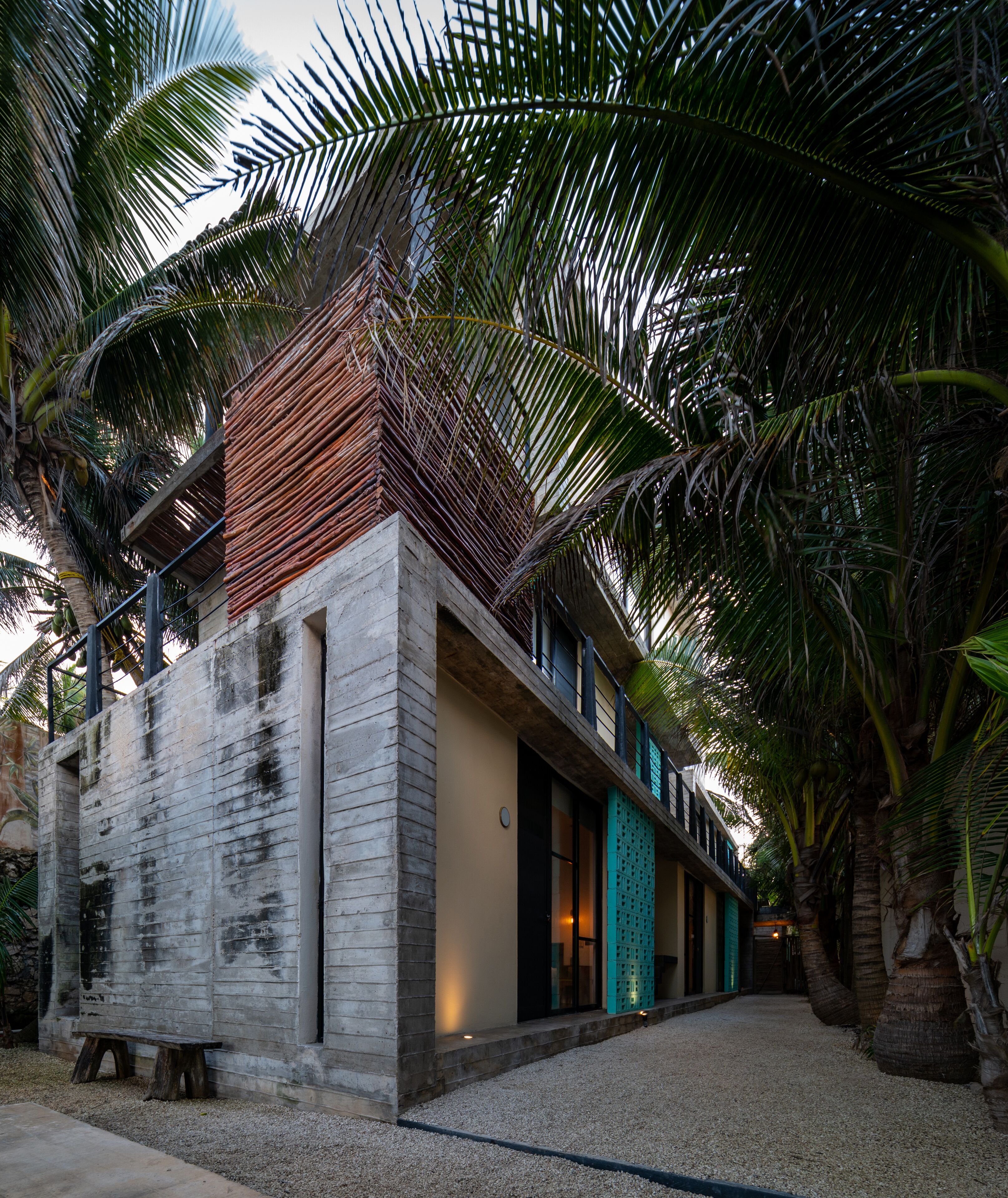 Foto - Tropicalito Tulum