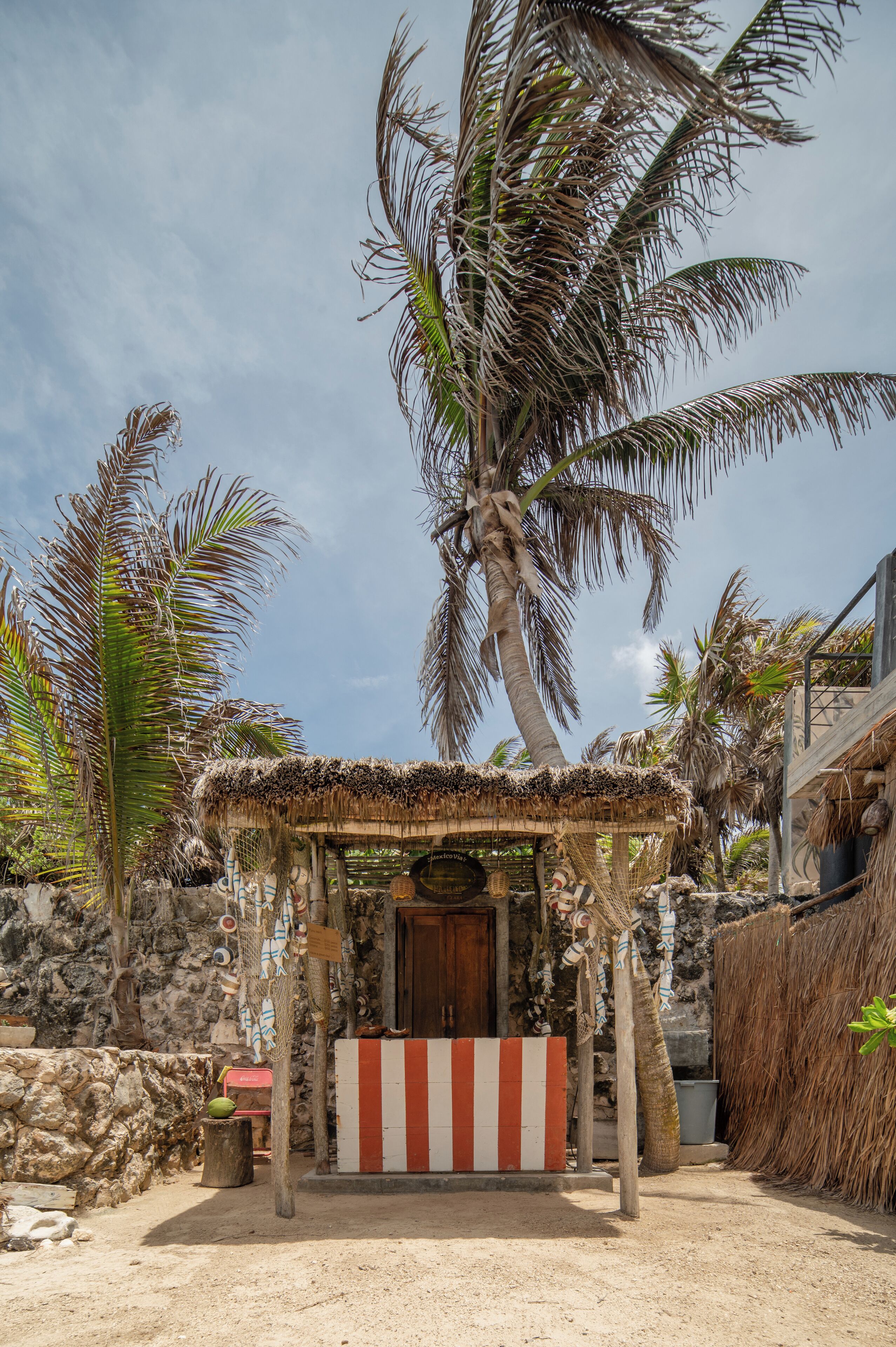 Foto - Tropicalito Tulum