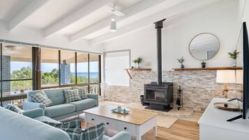 Télévision, cheminée, table de tennis de table