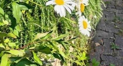 Maison familiale : charme & nature