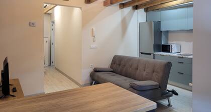 Appartment for 2 people with garage and WI-FI. Close to the center of León.