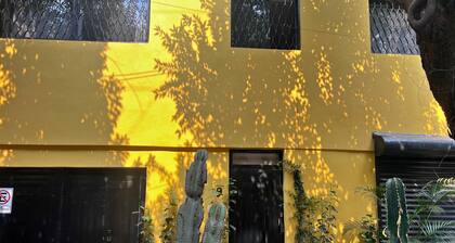 Discover Condesa
