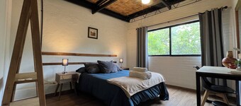 Discover Condesa