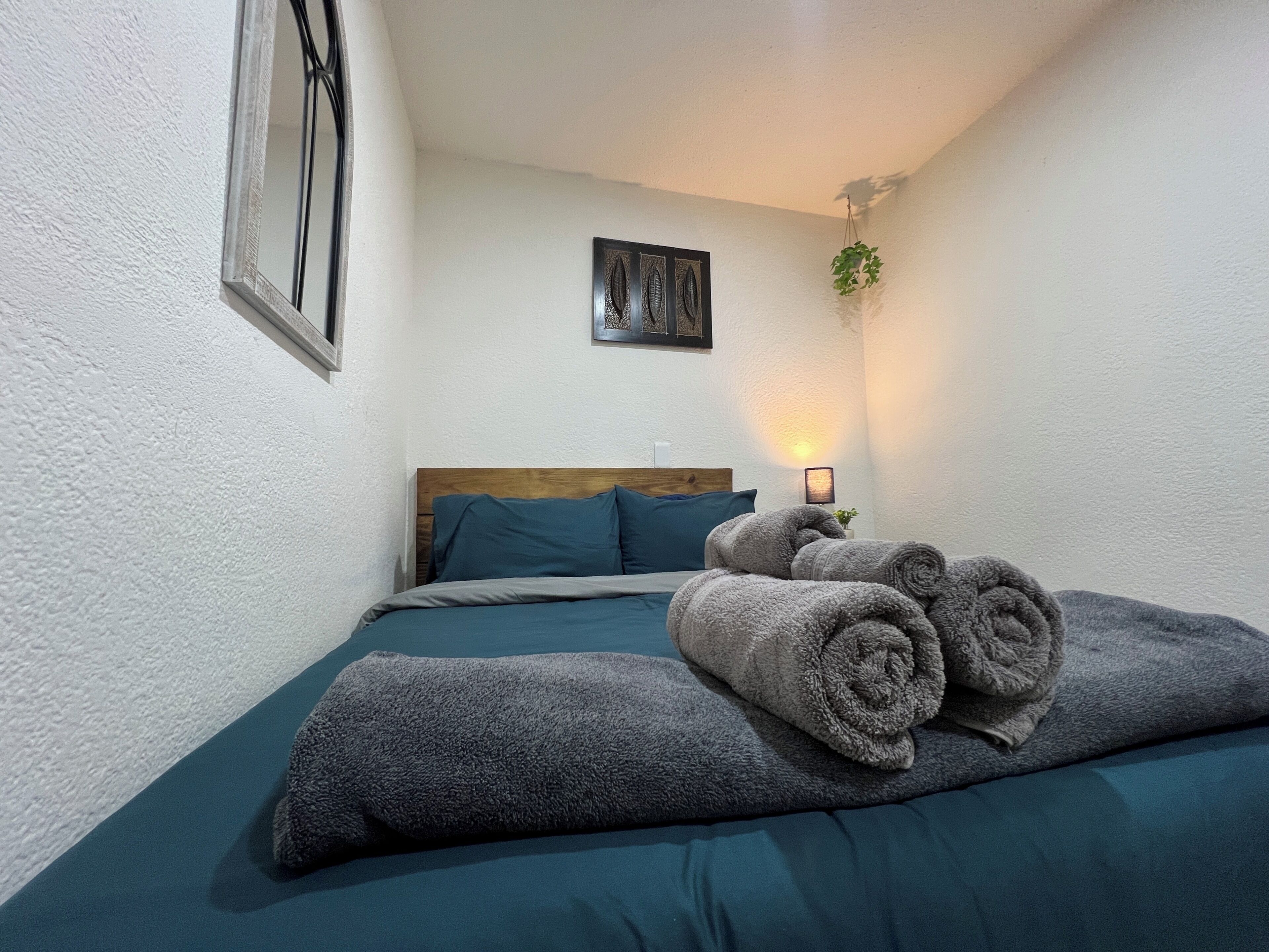 A bedroom with a bed, pillows, a bedside table with a lamp, a wall-mounted picture, and a hanging plant.