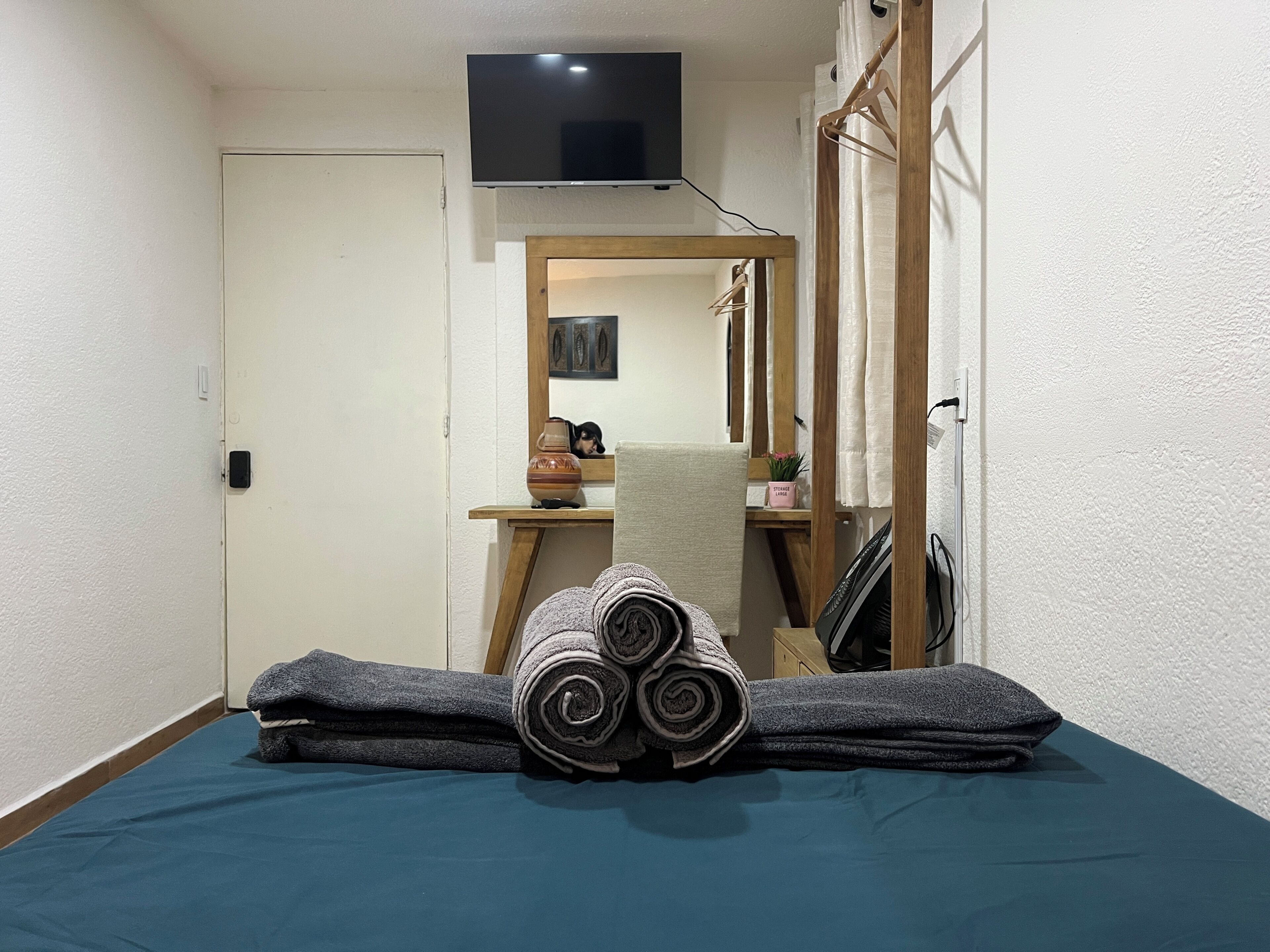 A bedroom with a bed, a TV, a mirror, and a small table with a vase and a plant.