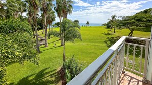 A lush green lawn with palm trees and a view of the ocean.