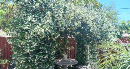 Sonhos dreams self catering garden units