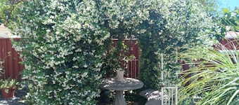 Sonhos dreams self catering garden units