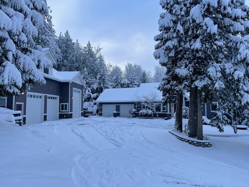 Ride galbraith mountain from your door! Cozy Bellingham studio in the woods.