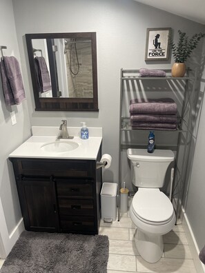 Hair dryer, towels, soap, shampoo