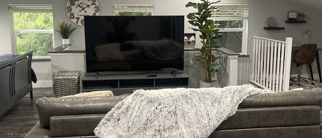 Smart TV, DVD player, books, video library