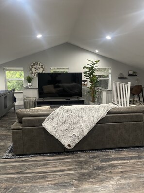 Smart TV, DVD player, books, video library