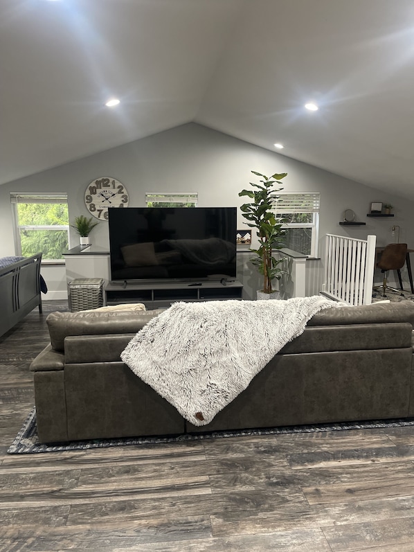Smart TV, DVD player, books, video library