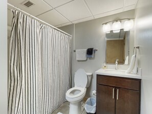 Hair dryer, towels - 2 BR Short Uber to Dtwn Nightlife/Restaurants (Des Moines)