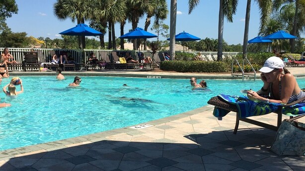 A pool area with lounge chairs and umbrellas, surrounded by palm trees. - Golf Excellence! Make it yours! Available Nov-Dec 20. (Naples)