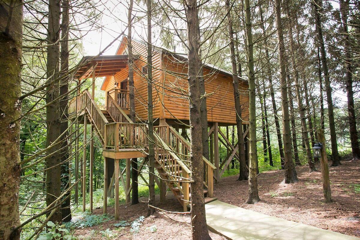 A wooden treehouse with a staircase, surrounded by a forest.