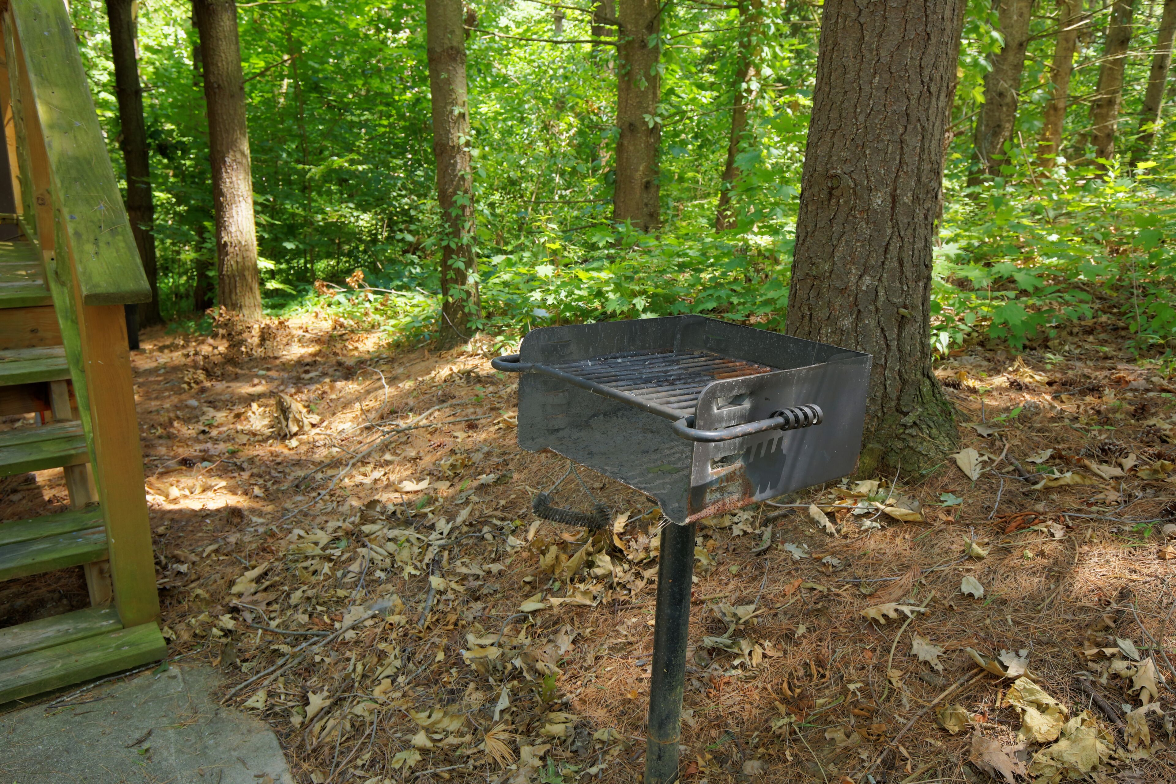 BBQ/피크닉 공간