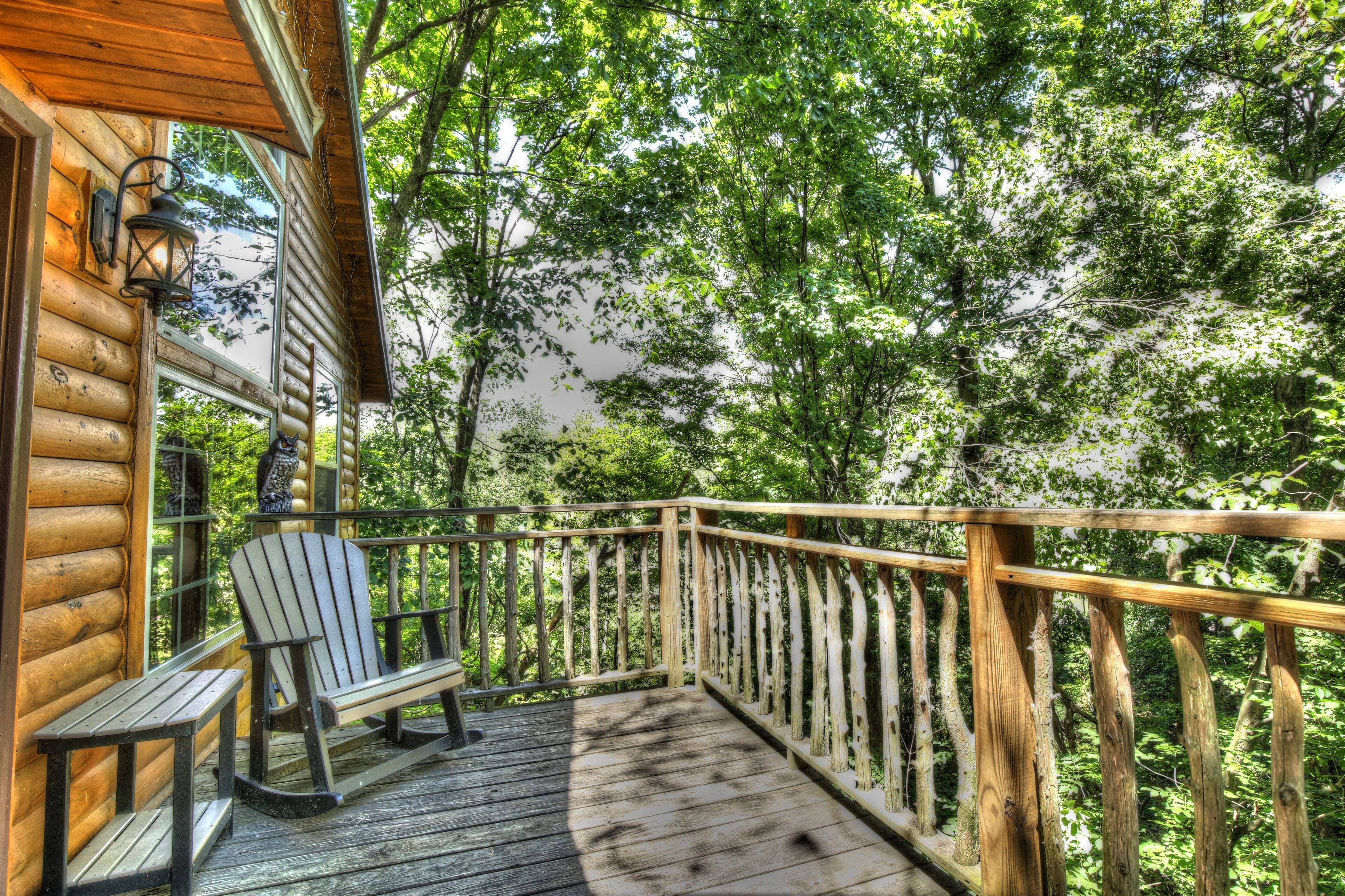 A wooden deck with a bench and a lantern, surrounded by dense trees.