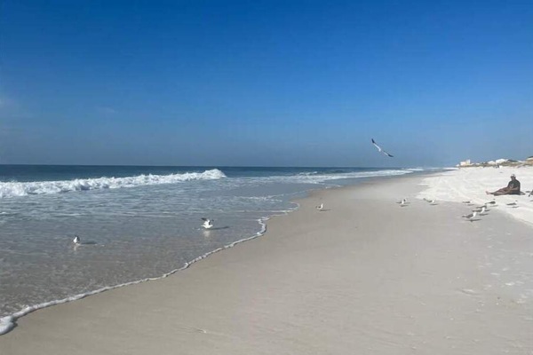 Playa