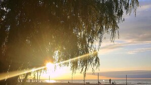 A beach scene with the sun setting behind trees, casting long shadows on the sand.