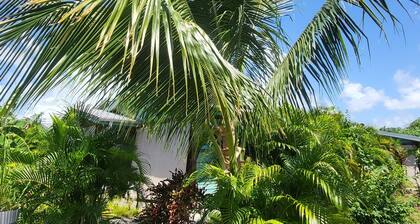 Ti' Alizé - Lodge dans son jardin tropical et son jacuzzi privé.