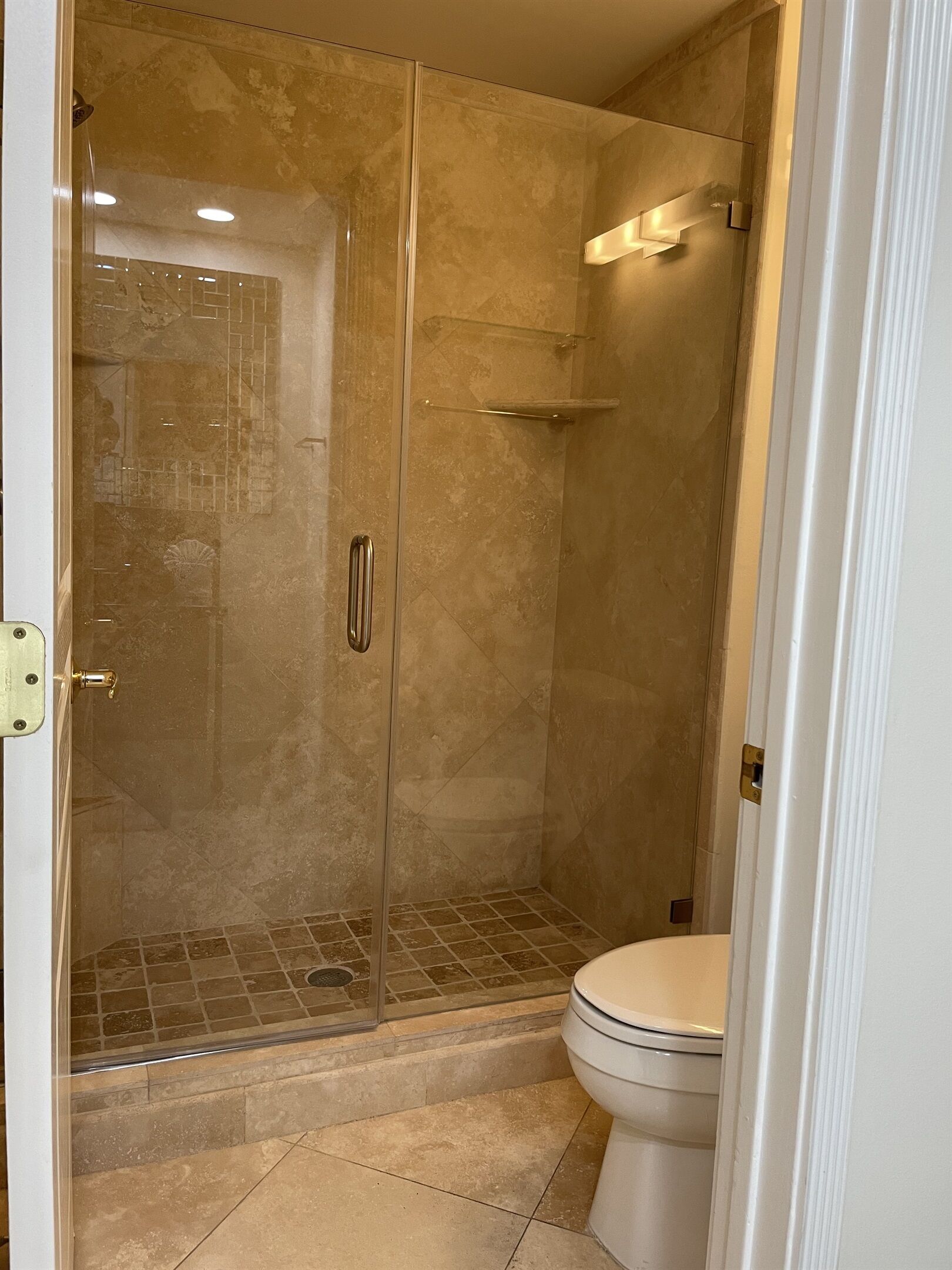 A walk-in shower with a glass door, a toilet, and a showerhead.
