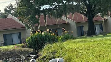 Enceinte de lâhĂ©bergement