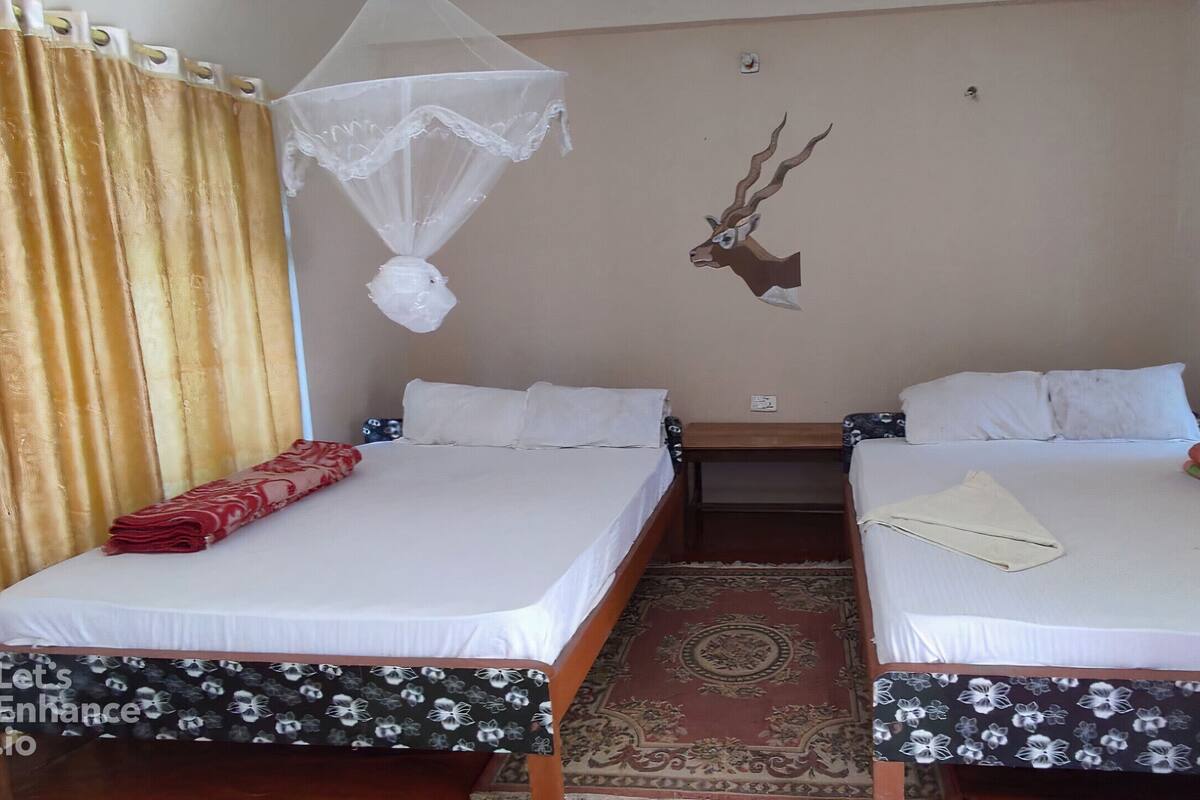 A hotel room with two beds, a mosquito net, a decorative wall head, and a patterned rug.
