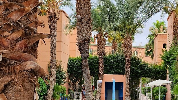 Piscina rodeada por palmeiras e um edifício com porta azul.